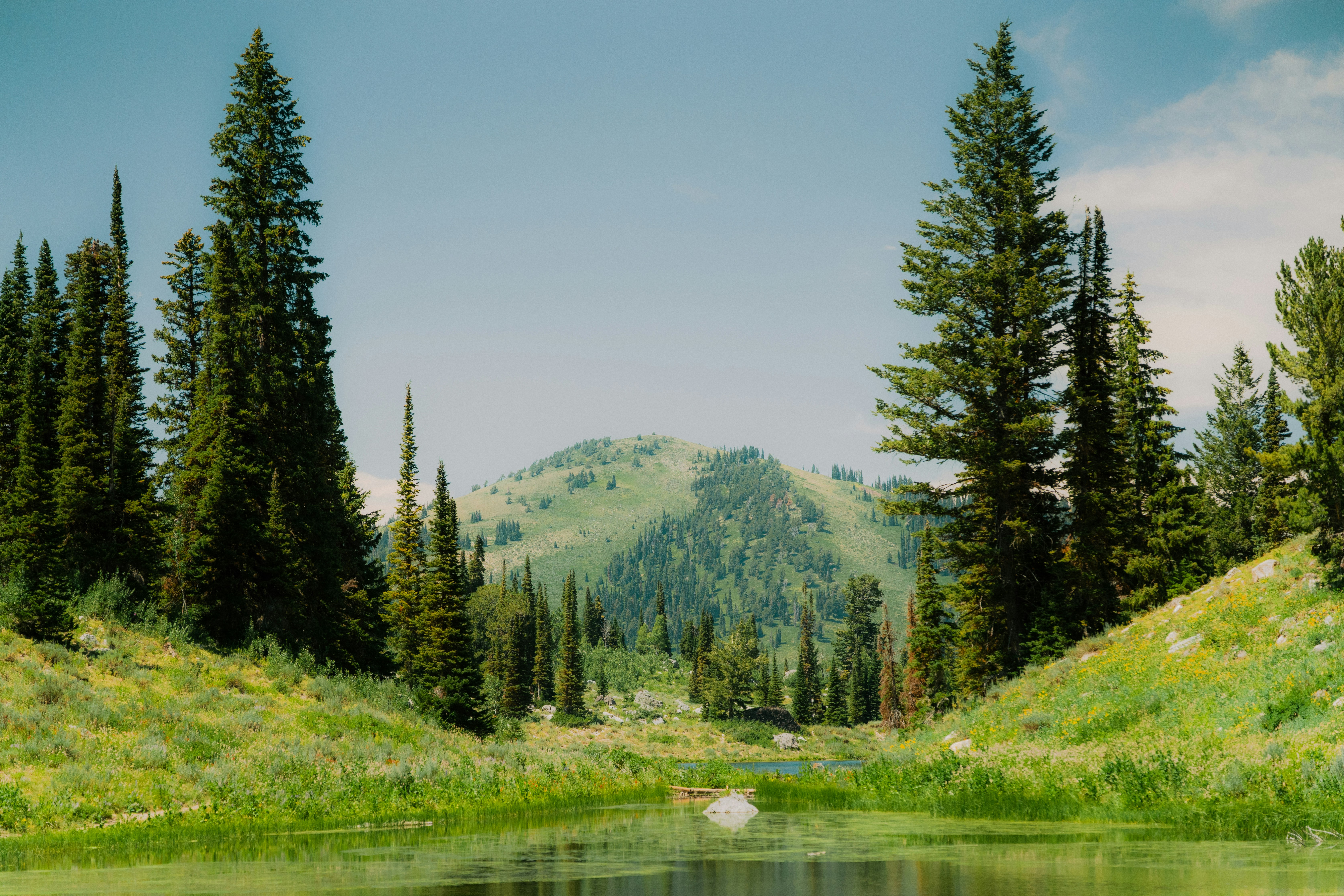 Workshop LMS PPIP 2025 Gasal - LMS Dosen 10