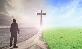 Workshop LMS PPIP 2025 Gasal - LMS Dosen 14