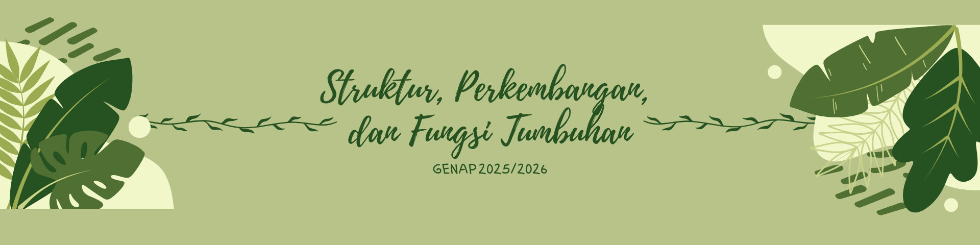 Struktur, Perkembangan, dan Fungsi Tumbuhan A (PBIO II/2025/2026)
